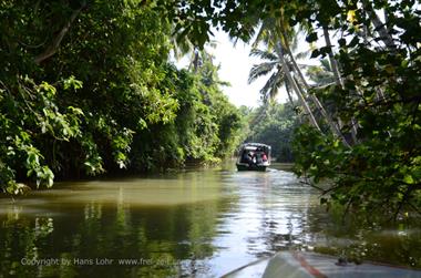 Poovar, Backwater Cruise,_DSC_8689_H600